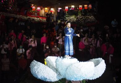 งานดอกฝ้ายบานสืบสานวัฒนธรรมไทเลย
